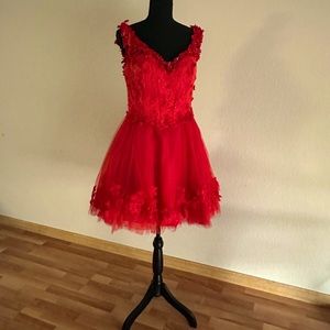 Cute red light up dress.
